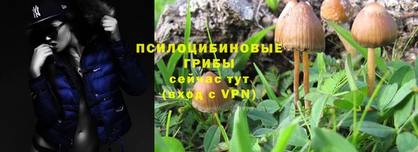 стаф Володарск